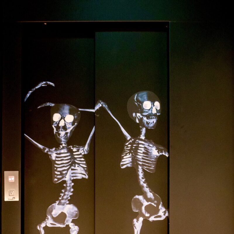 Fotograaf: MichielTon.com