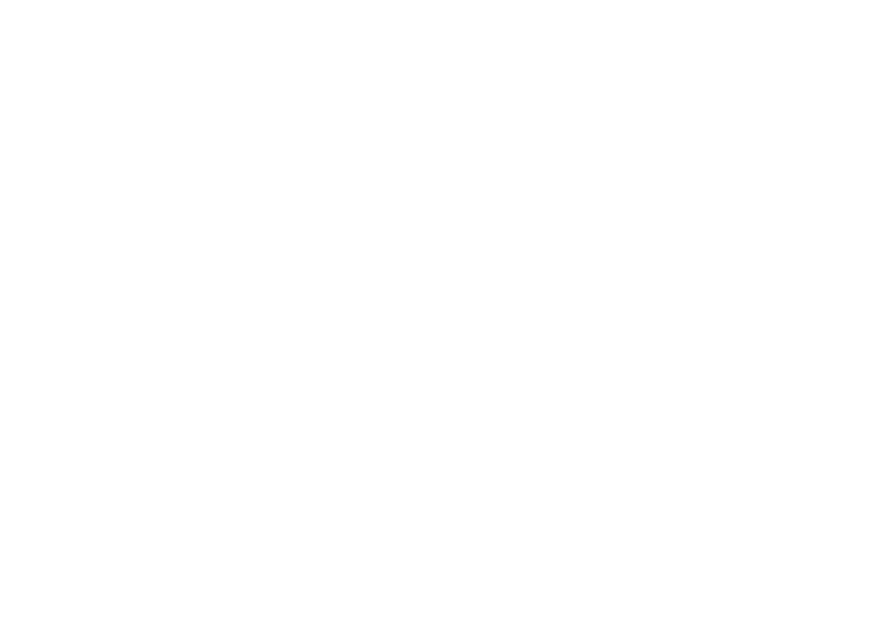 icon_image_light
