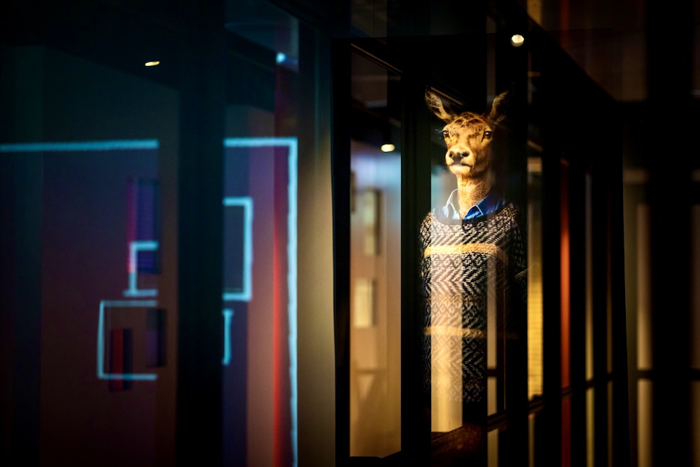 Fotograaf: MichielTon.com