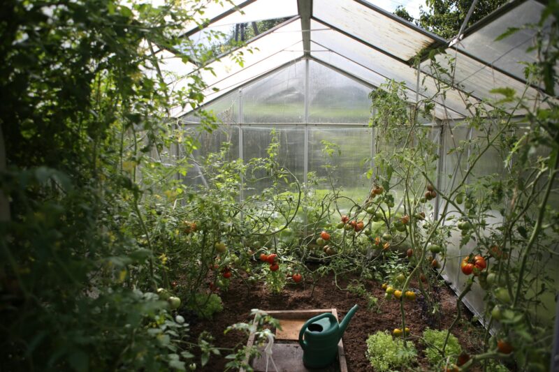 moestuin