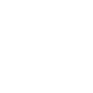icon-sup-bird