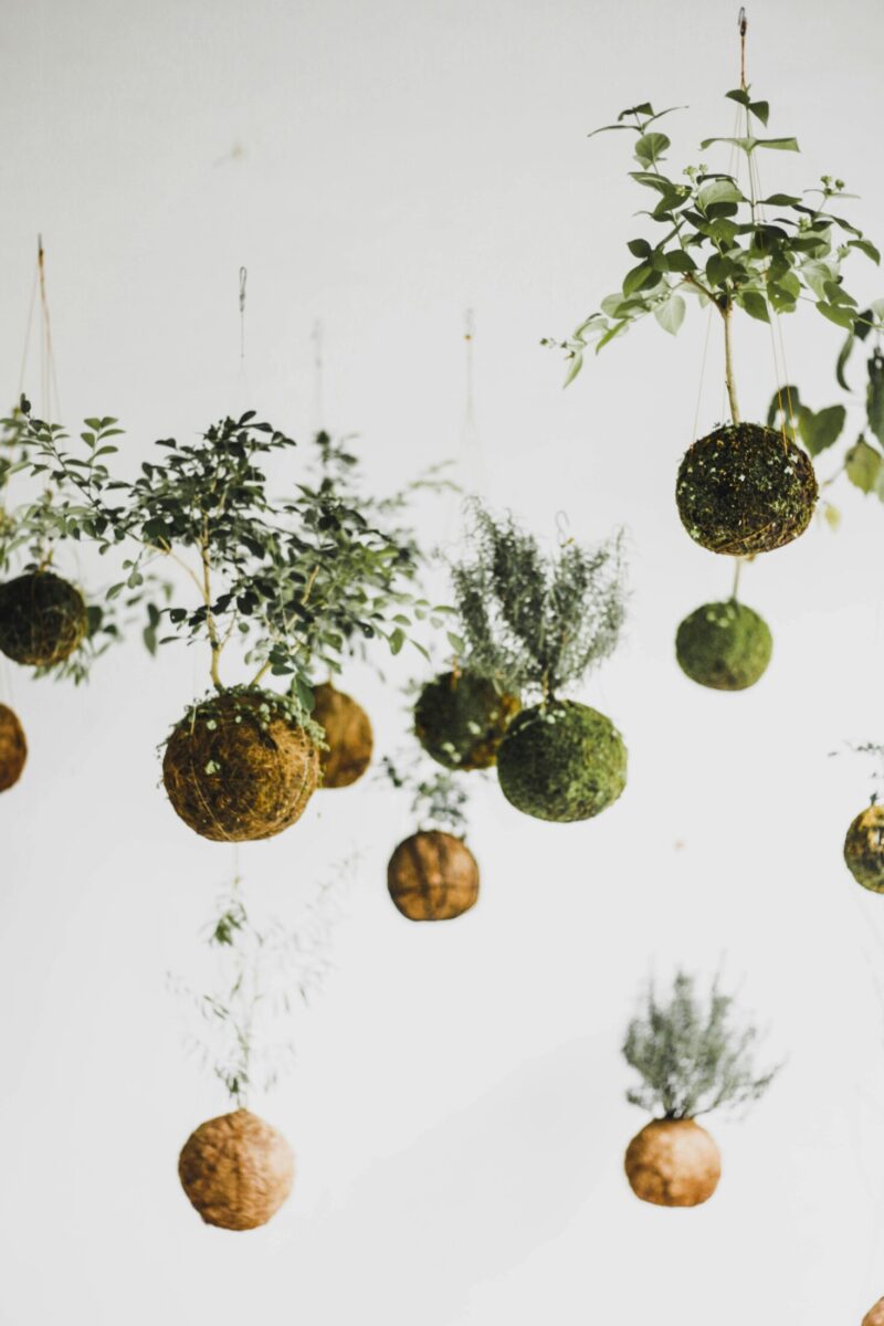 Kokedama workshop by Plantasia Green Design at Bunk Utrecht