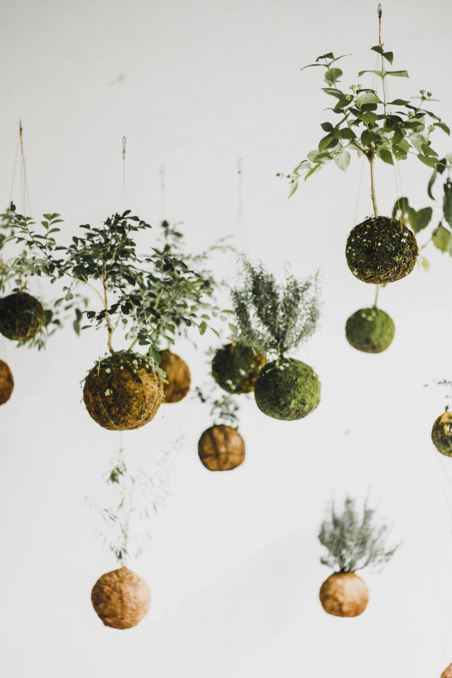 Kokedama workshop by Plantasia Green Design at Bunk Utrecht
