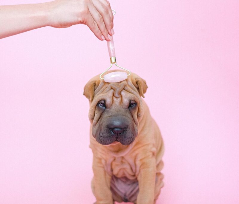 massage by mahbu utrecht