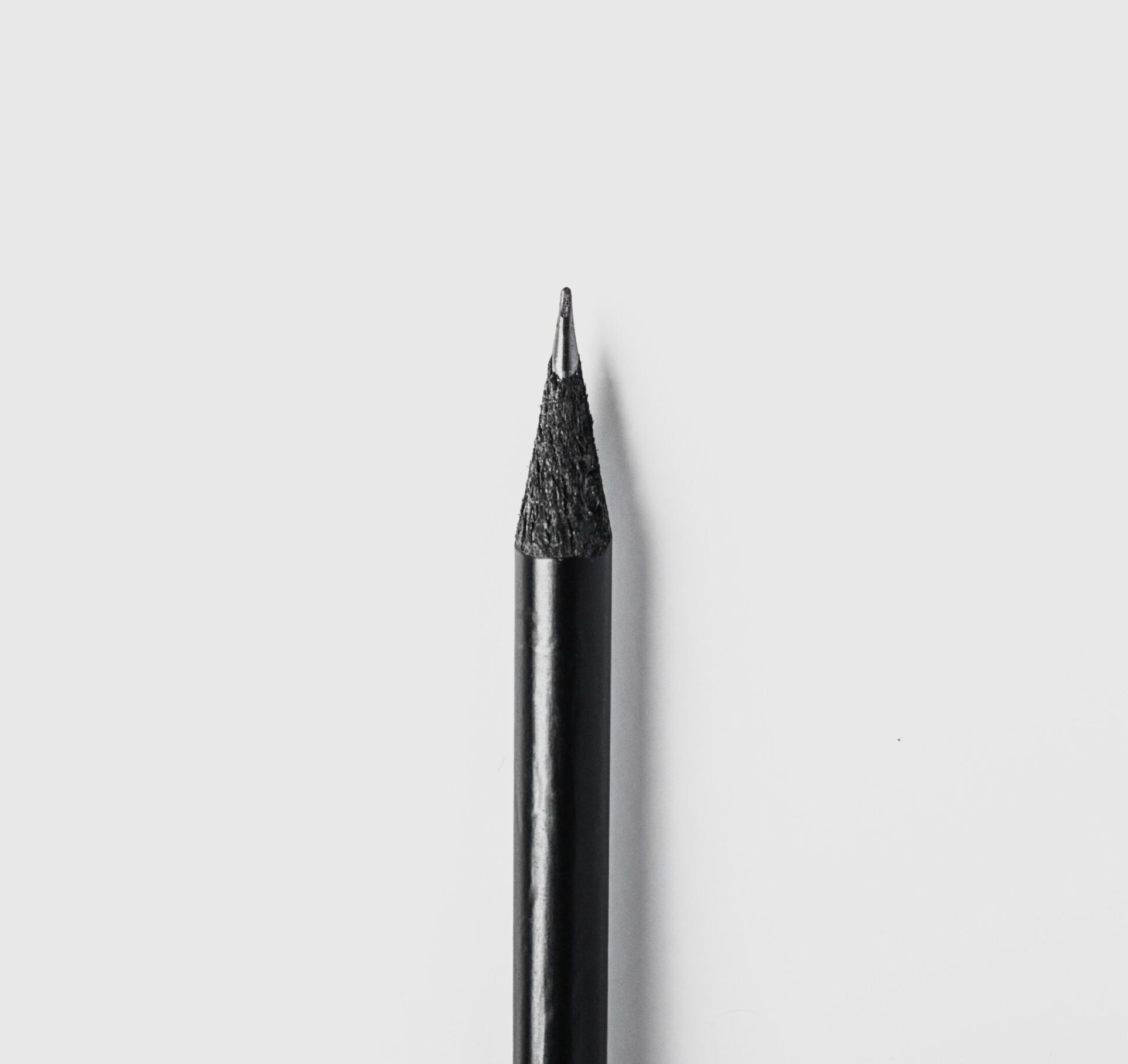 One-Line Illustration by Jana Mordhorst at Bunk Utrecht