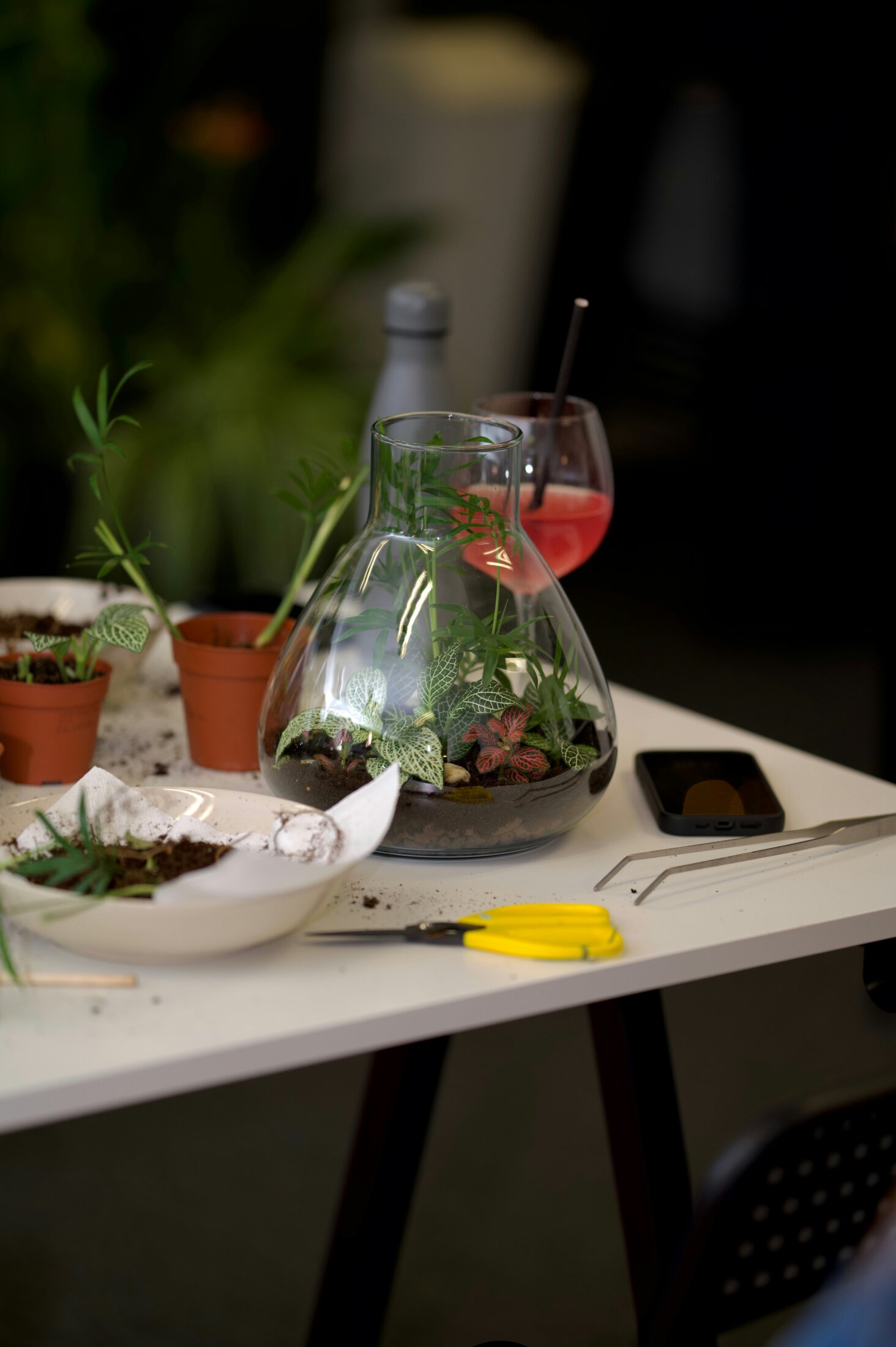 DIY Terrarium workshop Bunk Utrecht