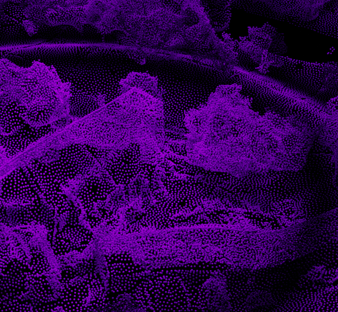 Mixer SoHaSo, Sungate & Blackout Records