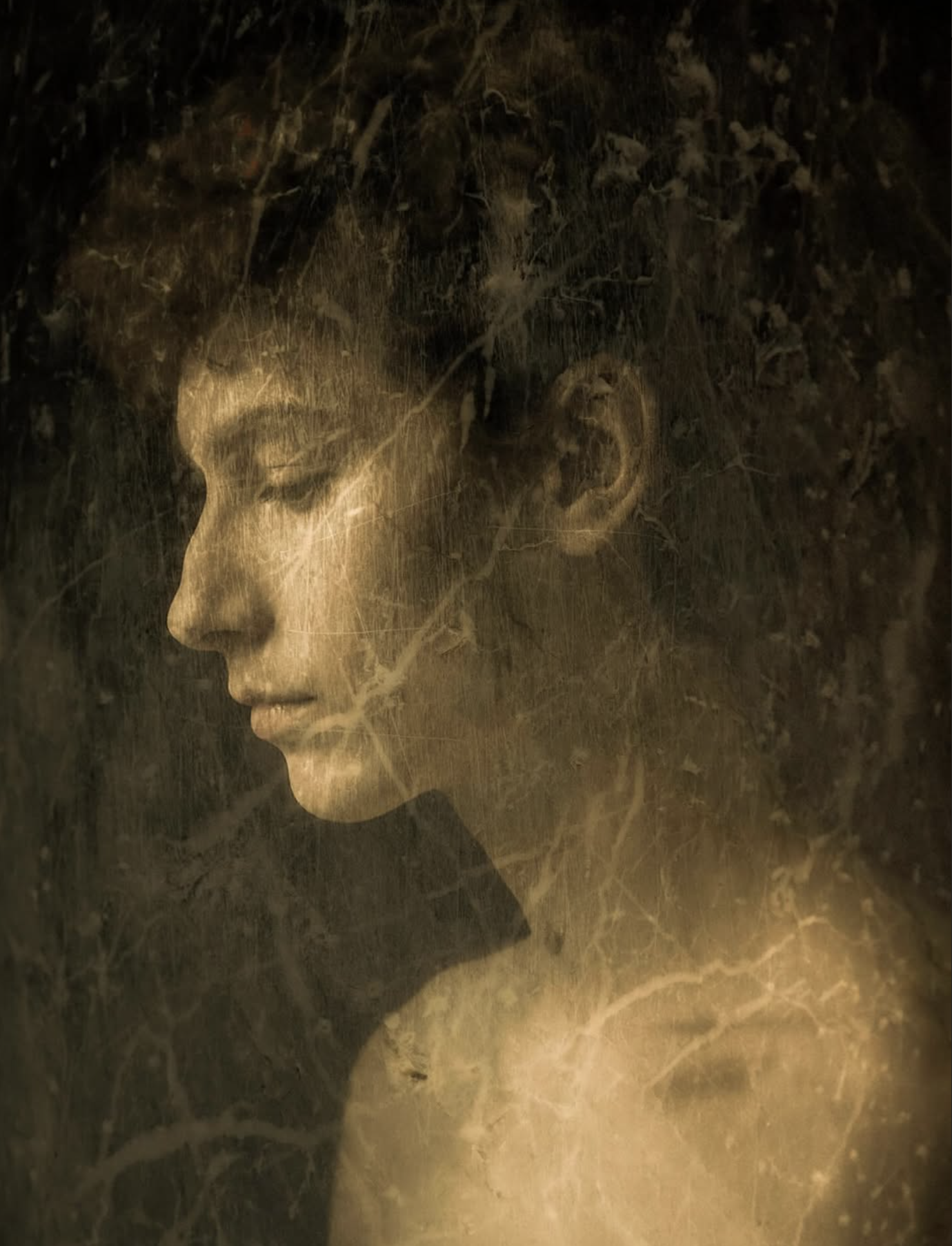 Opening expo: Layers of Life by Jan Hogema